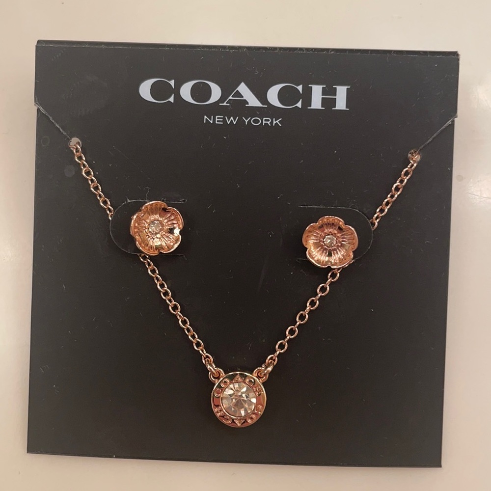 Coach rose hood jewelry set